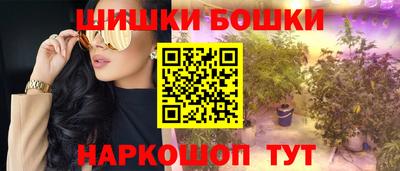 МДПВ Канаш