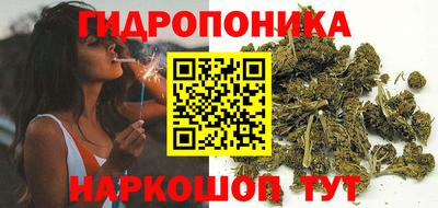 МДПВ Канаш