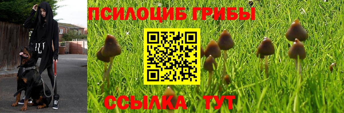 Псилоцибиновые грибы прущие грибы Лыткарино