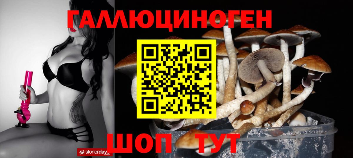 Псилоцибиновые грибы ЛСД  Вход с VPN  Псилоцибиновые грибы мухоморы  Лыткарино 